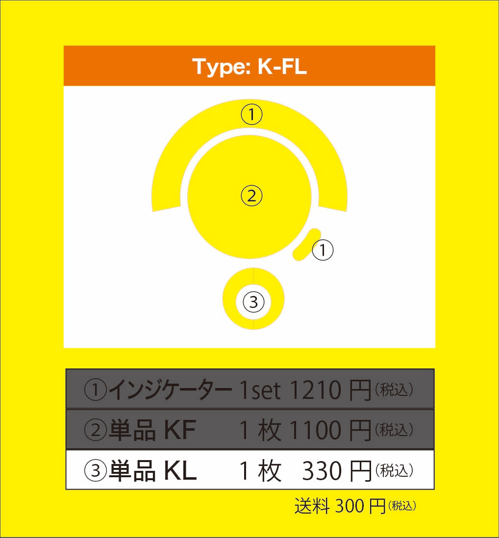 kawasaki ELIMINATOR (エリミネータ)メーター保護フィルム+キーシリンダー保護フィルム (キズ自己修復 10年耐久)送料無料